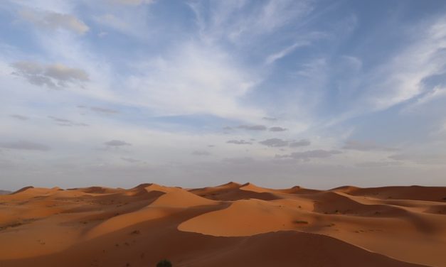 Colivings Eco-Sostenibles: Vida Compartida y Respetuosa con el Medio Ambiente