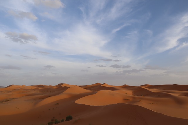 Colivings Eco-Sostenibles: Vida Compartida y Respetuosa con el Medio Ambiente